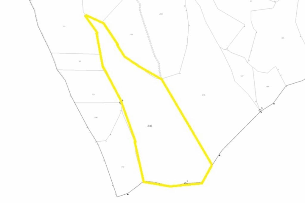 Terreno agricolo Via Comba San Grato, Pagno - planimetria 1