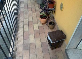 Trilocale Bologna - foto 13