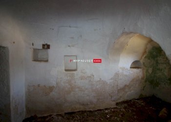 Trullo Contrada Popoleto, Alberobello - photo 17