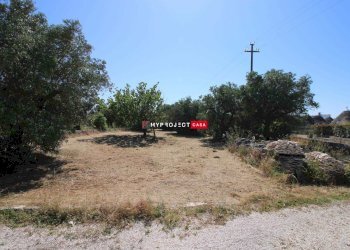 Trullo Contrada Popoleto, Alberobello - photo 29