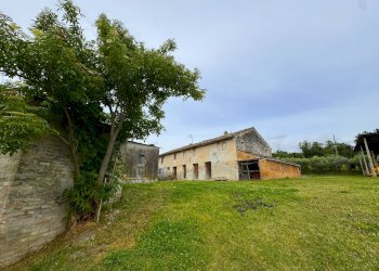 Foto 1 - Rustico Contrada Chiaro, Torre San Patrizio - foto 1