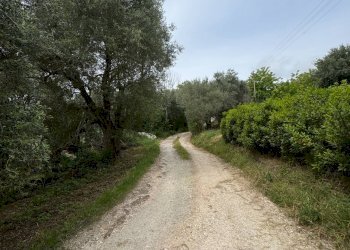 Foto 18 - Rustico Contrada Chiaro, Torre San Patrizio - foto 18