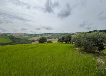 Foto 19 - Rustico Contrada Chiaro, Torre San Patrizio - foto 19