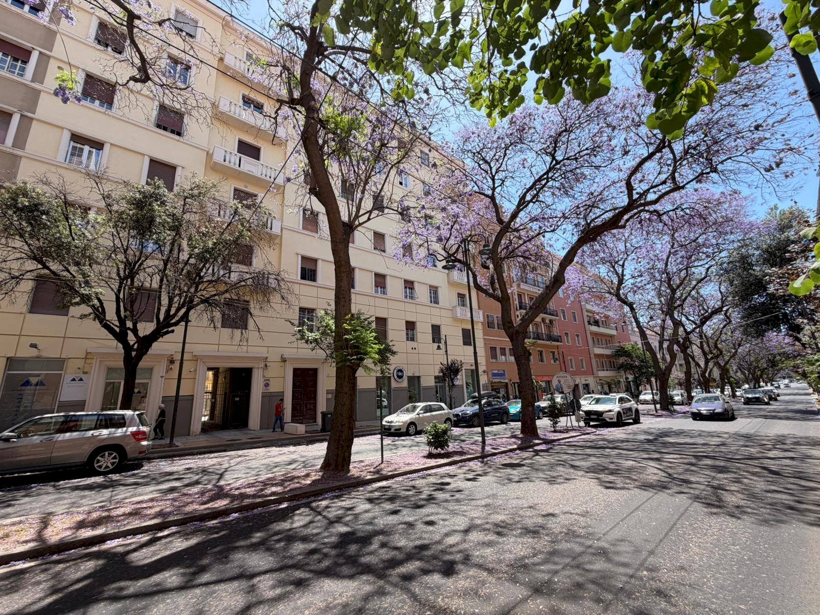 Foto 1 - Appartamento Via Dante Alighieri
 
53, Cagliari - foto 1