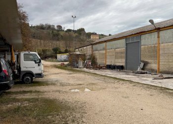 Foto 9 - Shed Ete Caldarette, Fermo - photo 9