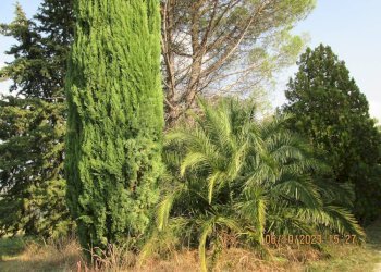 Foto 4 - Villa via Torre
 
26/a, Cupramontana - photo 4