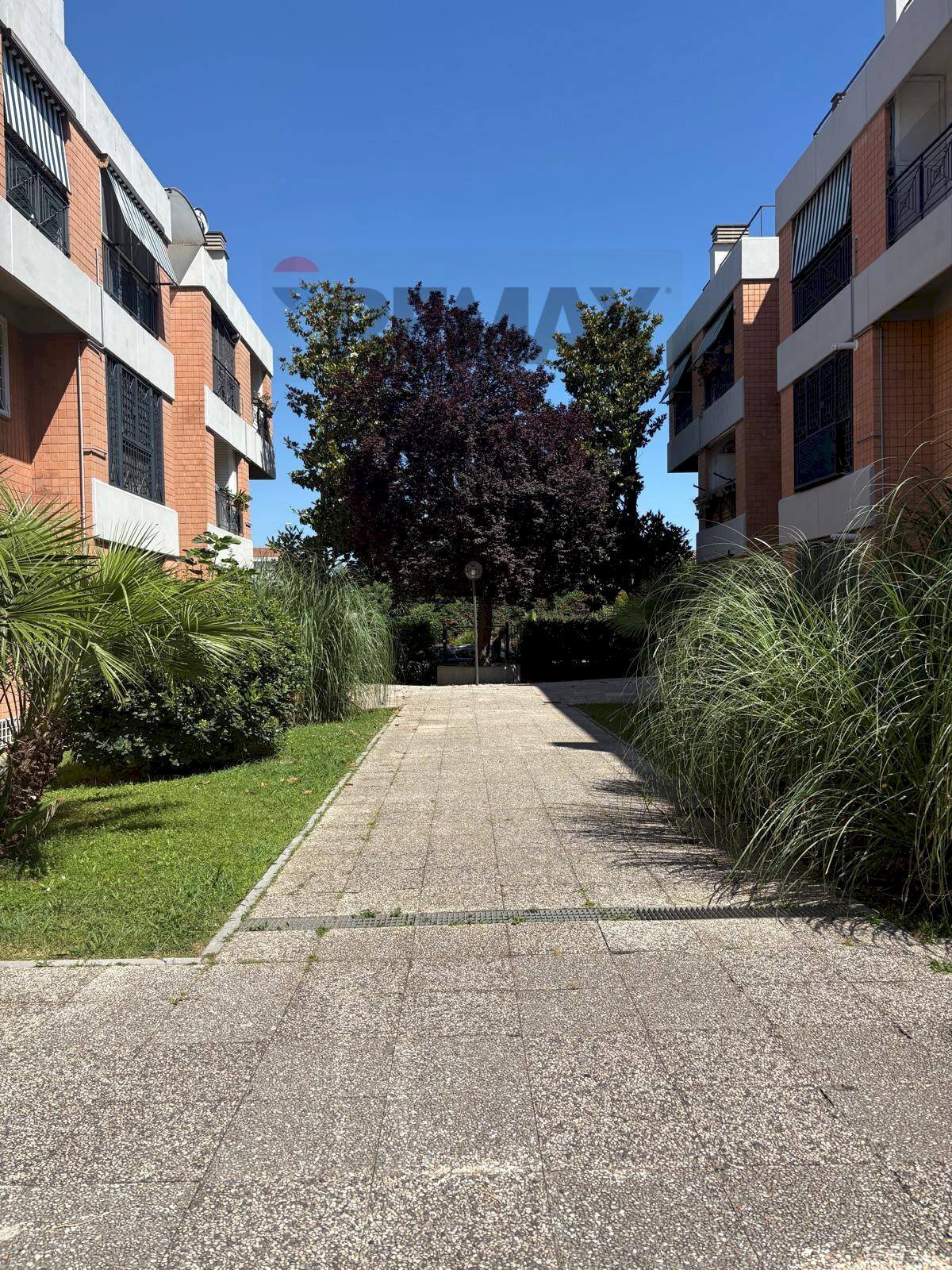 Edificio all\'aperto - Quadrilocale Via Domenico Purificato, Roma - foto 1