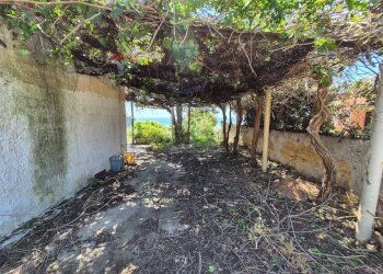 Giardino - Villa Via del mediterraneo
 
43, Castelvetrano - photo 15