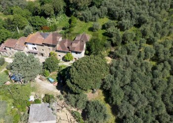 Panoramica - Rustic Via Neno
16, Vinci - photo 3