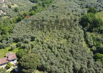 panoramica oliveta - Rustic Via Neno
16, Vinci - photo 5