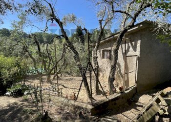annessi - Rustic Via Neno
16, Vinci - photo 11