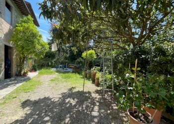 Giardino - Rustic Via Neno
16, Vinci - photo 27