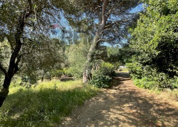 terreno - Rustic Via Neno
16, Vinci - photo 29