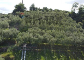 terreno - Semi-detached house Via Sanminiatese
121, Castelfiorentino - photo 9