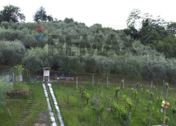 terreno - Semi-detached house Via Sanminiatese
121, Castelfiorentino - photo 10