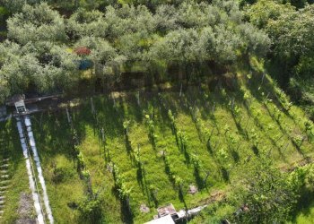 terreno - Semi-detached house Via Sanminiatese
121, Castelfiorentino - photo 11