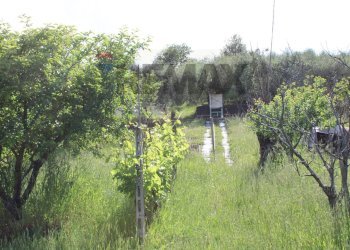 terreno - Semi-detached house Via Sanminiatese
121, Castelfiorentino - photo 13