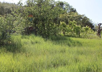 terreno - Semi-detached house Via Sanminiatese
121, Castelfiorentino - photo 15