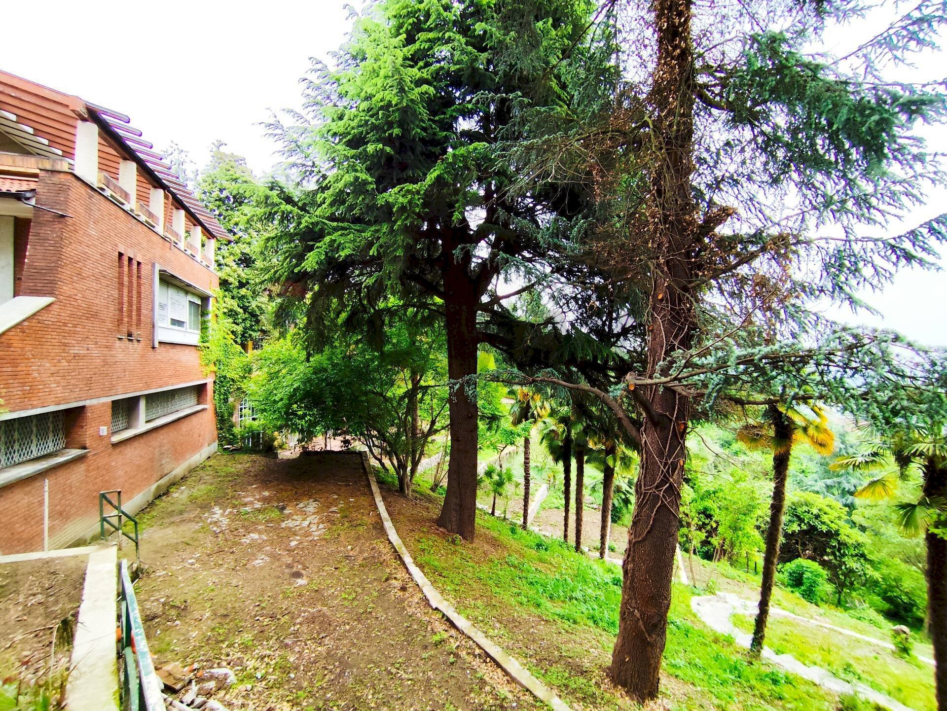 Giardino - Villa Pino Torinese - foto 2