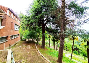 Giardino - Villa Pino Torinese - foto 2