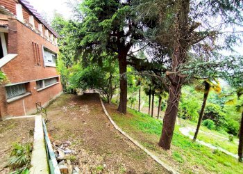 Giardino - Villa Pino Torinese - foto 6