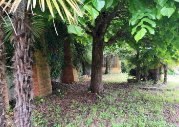 Giardino - Villa Pino Torinese - foto 8