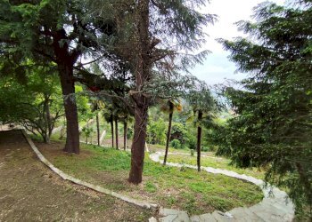 Giardino - Villa Pino Torinese - foto 10