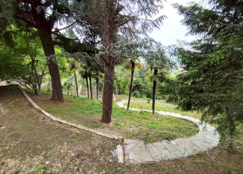 Giardino - Villa Pino Torinese - foto 48