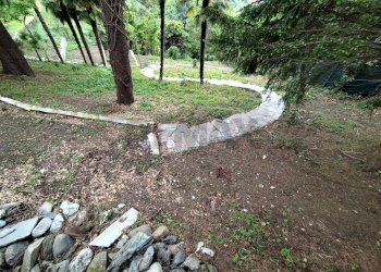 Giardino - Villa Pino Torinese - foto 50
