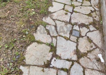 Giardino - Villa Pino Torinese - foto 62