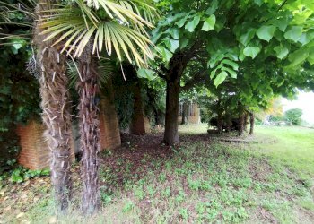 Giardino - Villa Pino Torinese - foto 64