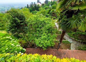 Giardino - Villa Pino Torinese - foto 68
