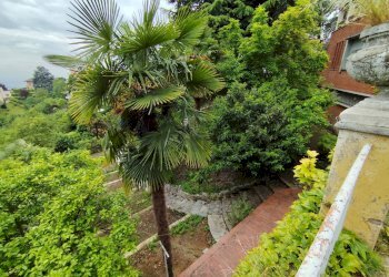 Giardino - Villa Pino Torinese - foto 69