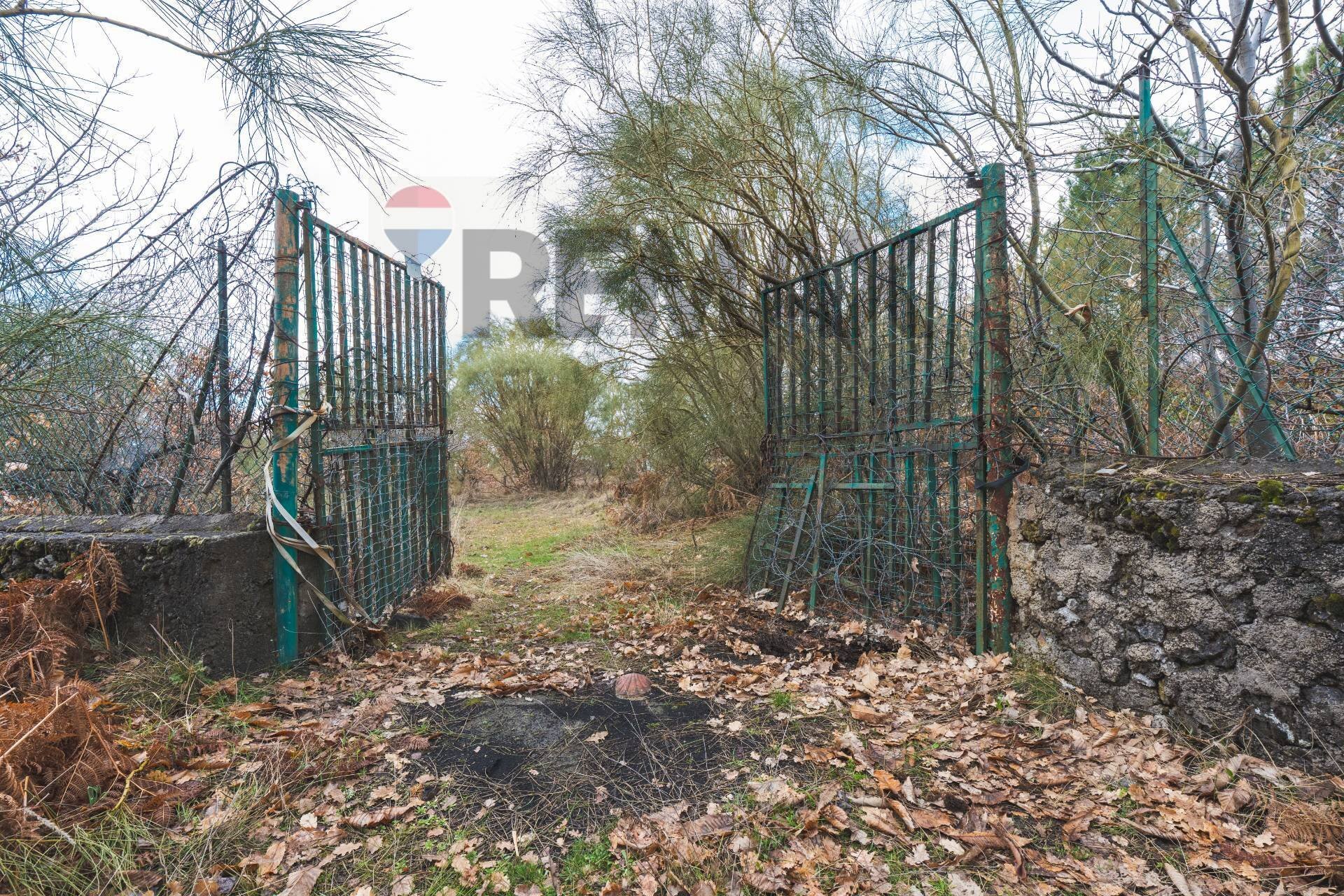 Giardino - Terreno agricolo Contrada Mirio
 
sn, Biancavilla - foto 2