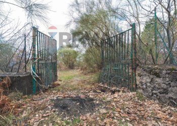Giardino - Terreno agricolo Contrada Mirio
sn, Biancavilla - foto 2