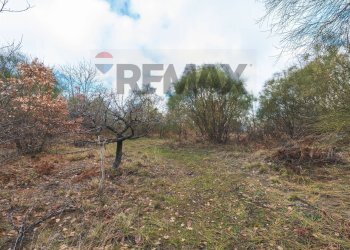 Giardino - Terreno agricolo Contrada Mirio
sn, Biancavilla - foto 3