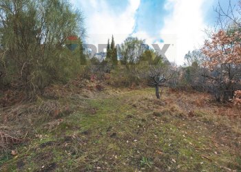 Giardino - Terreno agricolo Contrada Mirio
sn, Biancavilla - foto 4