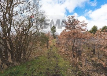 Vista delle montagne - Terreno agricolo Contrada Mirio
sn, Biancavilla - foto 18