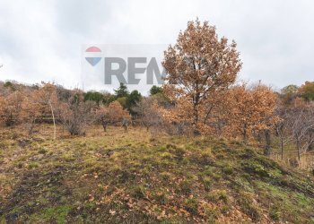Vista delle montagne - Terreno agricolo Contrada Mirio
sn, Biancavilla - foto 26