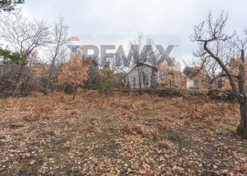 Giardino - Terreno agricolo Contrada Mirio
sn, Biancavilla - foto 35