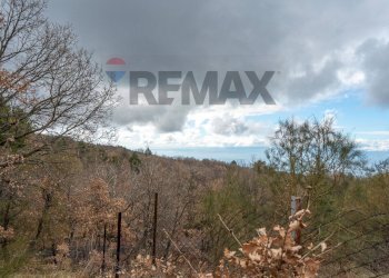 Vista delle montagne - Terreno agricolo Contrada Mirio
sn, Biancavilla - foto 39