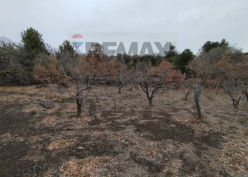 Vista delle montagne - Terreno agricolo Contrada Mirio
sn, Biancavilla - foto 45