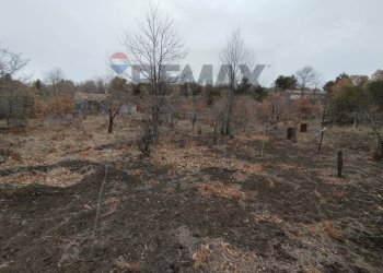 Giardino - Terreno agricolo Contrada Mirio
sn, Biancavilla - foto 47