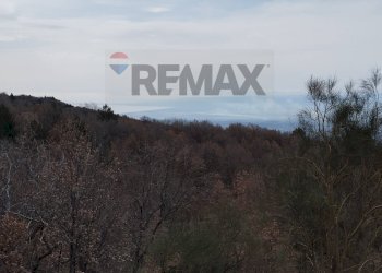 Vista delle montagne - Terreno agricolo Contrada Mirio
sn, Biancavilla - foto 49