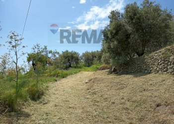 Giardino - Rustico Contrada Barone, Graniti - foto 2