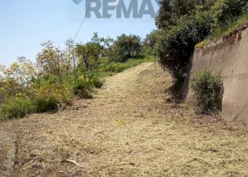 Giardino - Rustico Contrada Barone, Graniti - foto 3