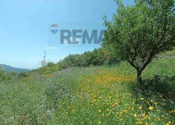 Giardino - Rustico Contrada Barone, Graniti - foto 5