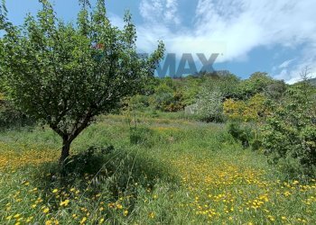 Giardino - Rustico Contrada Barone, Graniti - foto 6