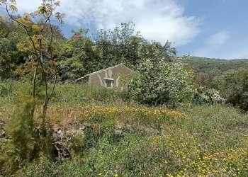 Giardino - Rustico Contrada Barone, Graniti - foto 9
