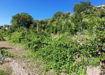 Giardino - Rustico Contrada Barone, Graniti - foto 17
